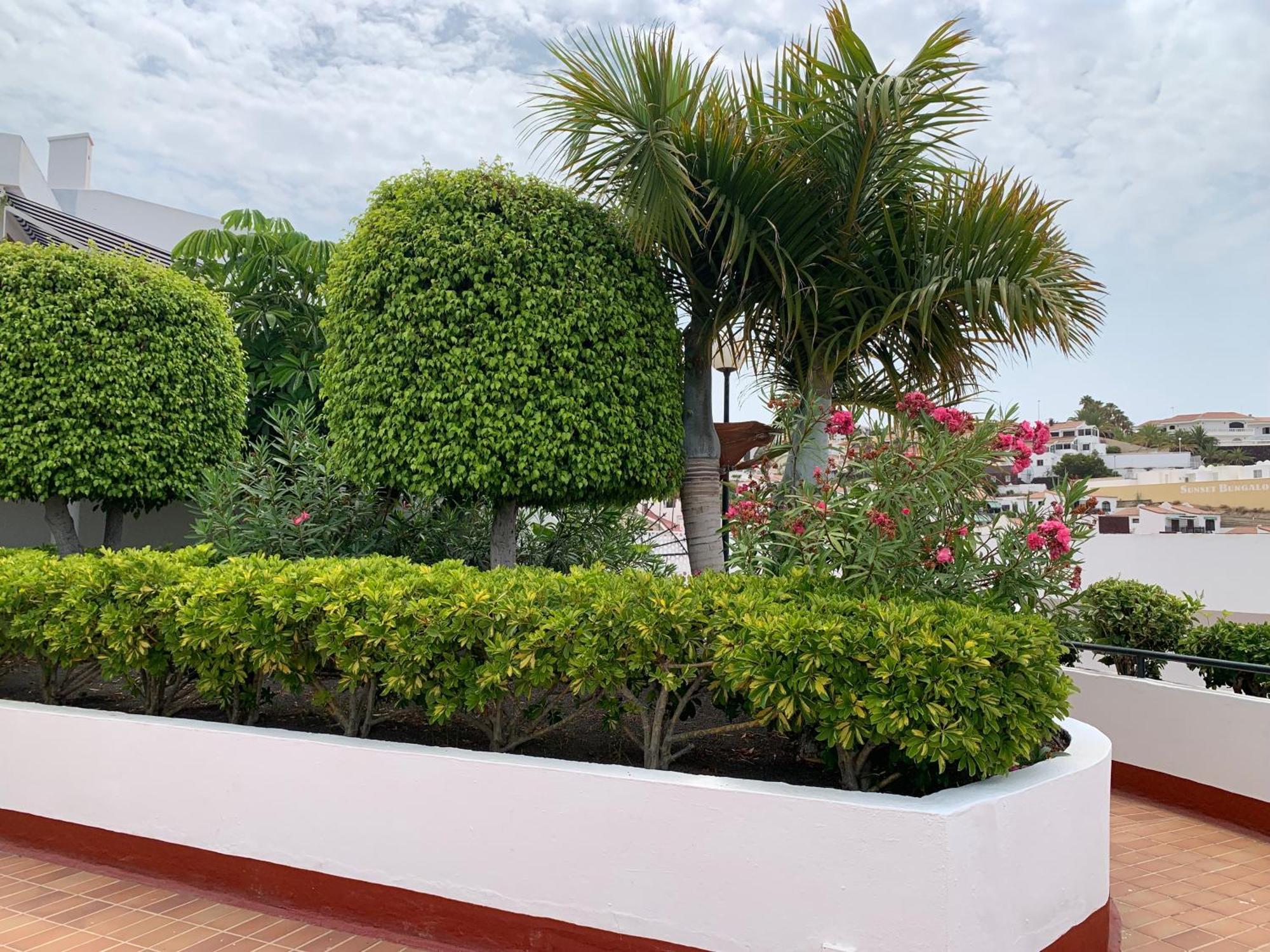 Ocean Breeze And Seaview Resort Адехе Екстериор снимка